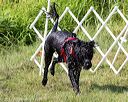 20170819-mwd-0347