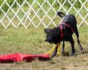 20170819-mwd-0349