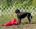 20170819-mwd-0354