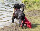 20170819-mwd-0357