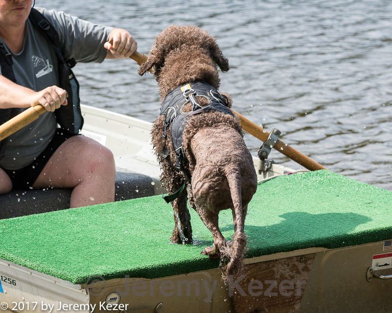 20170819-mwd-0005.jpg