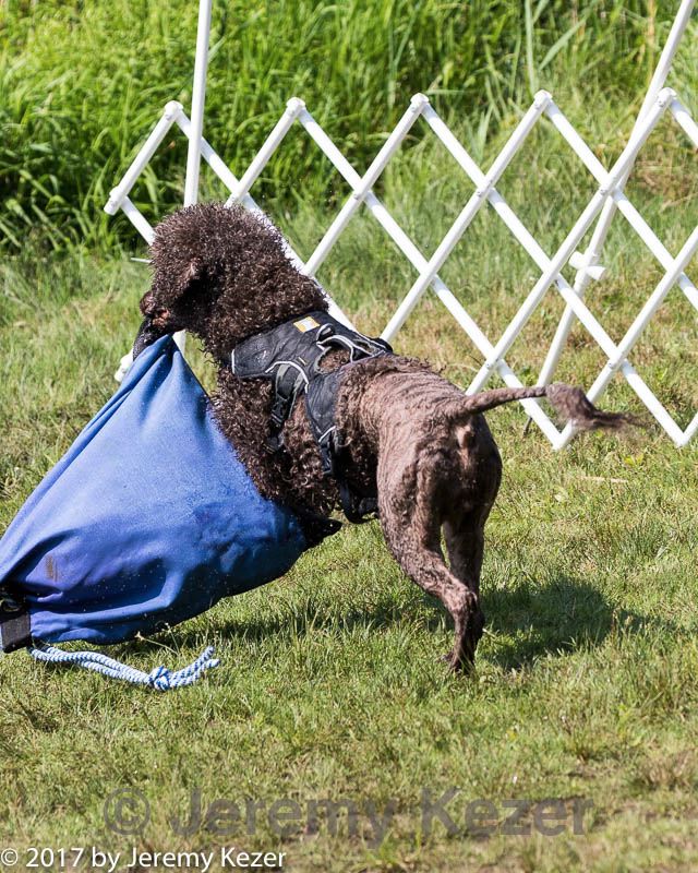 20170819-mwd-0091.jpg