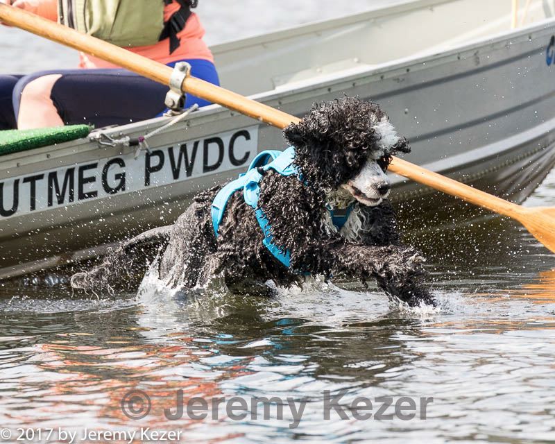 20170819-mwd-0159.jpg