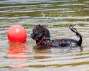 20170819-wwd-0011