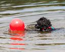 20170819-wwd-0015