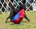 20170819-wwd-0027