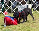 20170819-wwd-0029