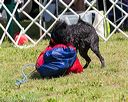 20170819-wwd-0030
