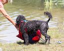 20170819-wwd-0041