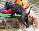 20170819-wwd-0043