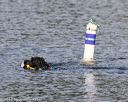 20170819-wwd-0055