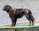 20170819-wwd-0081