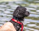 20170819-wwd-0109
