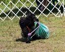 20170819-wwd-0127