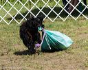 20170819-wwd-0129