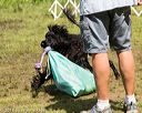 20170819-wwd-0132