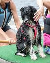 20170820-awd-0057