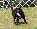 20170820-awd-0294