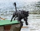 20170820-awd-0383