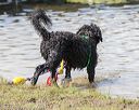 20170820-cwd-0003