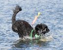 20170820-cwd-0010