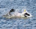 20170820-cwd-0011