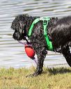 20170820-cwd-0052