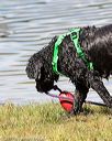 20170820-cwd-0056