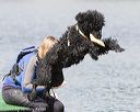 20170820-cwd-0092