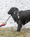 20170820-cwd-0128
