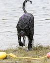 20170820-cwd-0192