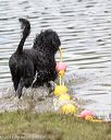 20170820-cwd-0203