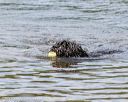20170820-cwd-0230