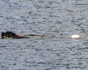 20170820-cwd-0239