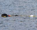 20170820-cwd-0245