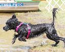 20170820-jwd-0047