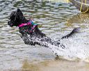 20170820-jwd-0050