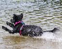 20170820-jwd-0052