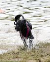 20170820-jwd-0106