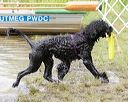 20170820-jwd-0158