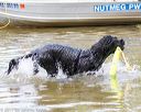 20170820-jwd-0173