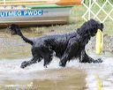 20170820-jwd-0179