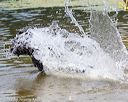 20170820-jwd-0262