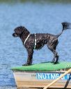 20170820-mwd-0004