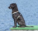 20170820-mwd-0006