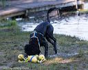 20170820-mwd-0035