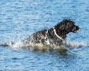20170820-mwd-0109