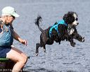 20170820-mwd-0261