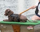 20170820-mwd-0300