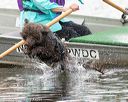 20170820-mwd-0316